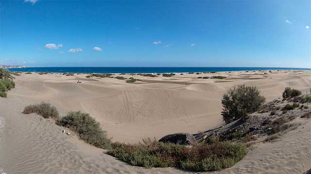 Dnen zwischen Playa del Ingles und Maspalomas